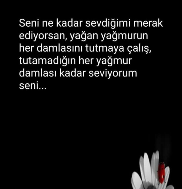 Kasım.yaprak (@kasyaprak) on Twitter photo 