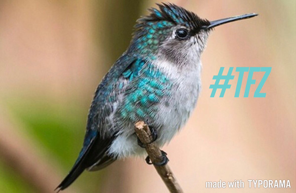 Quinn 💛(G.Quinn Rogers) tweet media