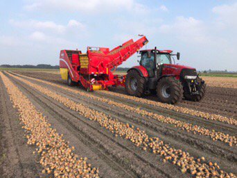 riksteenge's tweet image. Siepels