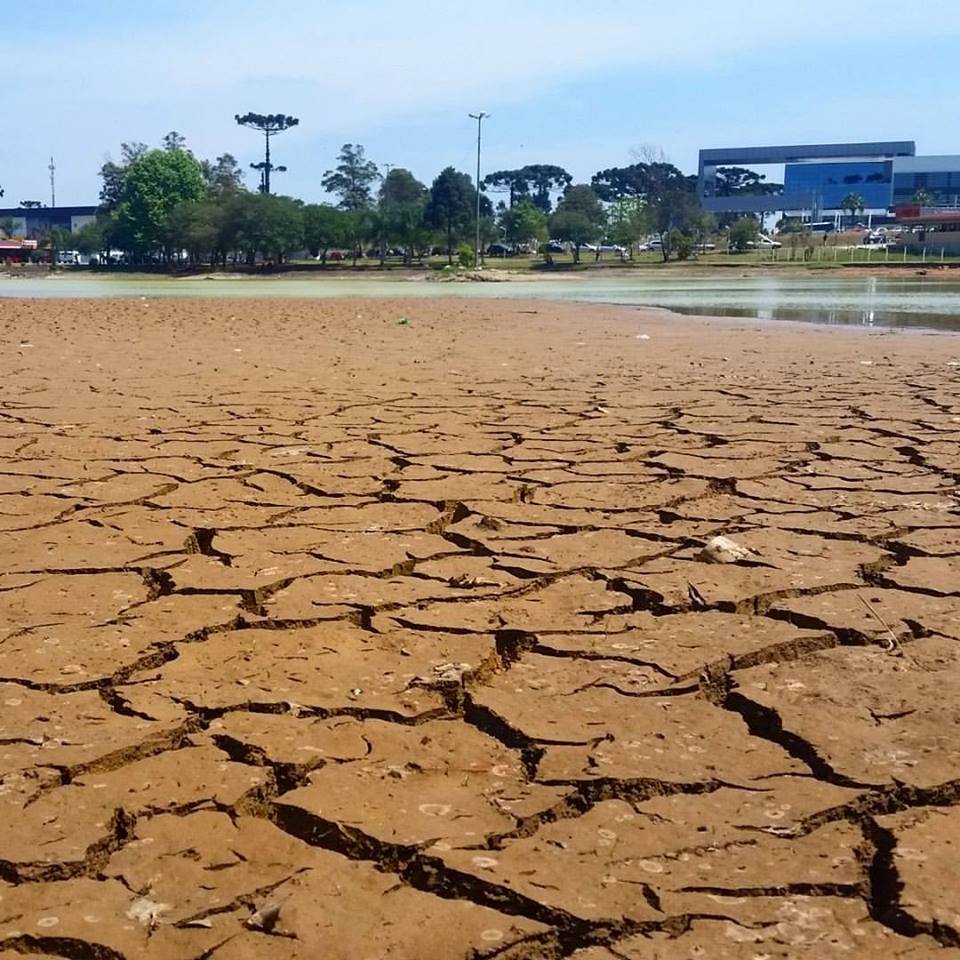 GoOutsideBR's tweet image. O montanhista Edemilson Padilha postou esta foto do Parque da Lagoa Grande, no PR - que falta a chuva faz! #seca #calor