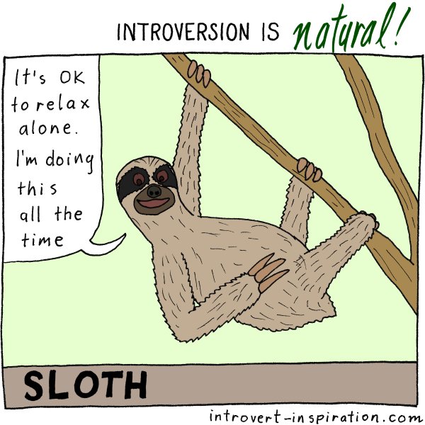 IntrovertZayts's tweet image. Sometimes it is okay to stay at home all day and not meet others. Especially if you're a #sloth.
#introvertanimals #introvert