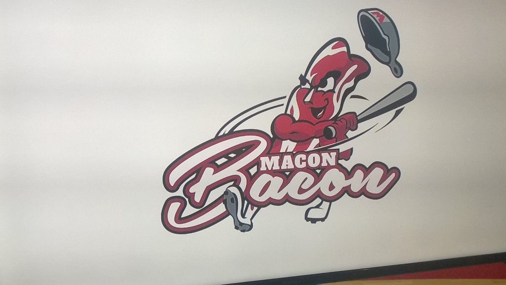1GaryLear's tweet image. The new baseball team in Macon, GA