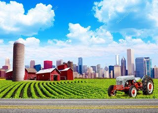 Daniel Isgrigg tweet media