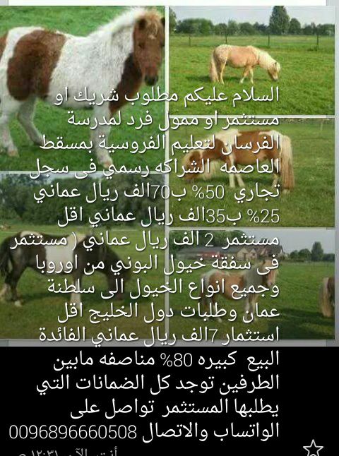 alfarsan1's tweet photo. https://t.co/oqxnL5MnhB