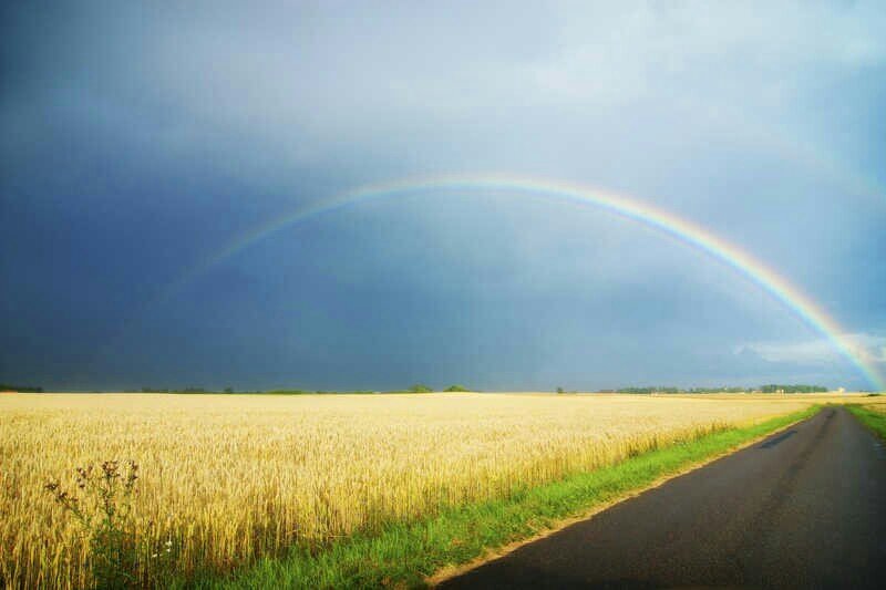 aguba4's tweet photo. Buenas tardes https://t.co/10Er5co7sj