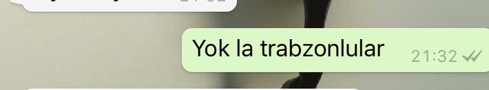 Loca (@lilyumthefish) on Twitter photo 