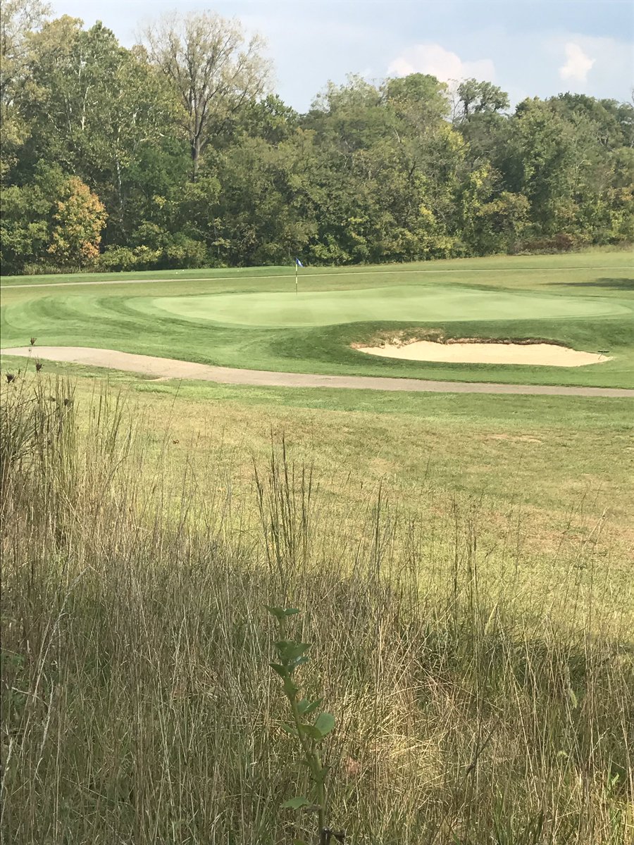 scottjonespga's tweet photo. The golf course ready to go for the Div 3 Boys Sectional tomorrow. Can't wait to see who makes it to Districts. #greatshape #setupfair https://t.co/gPN4WvByR9