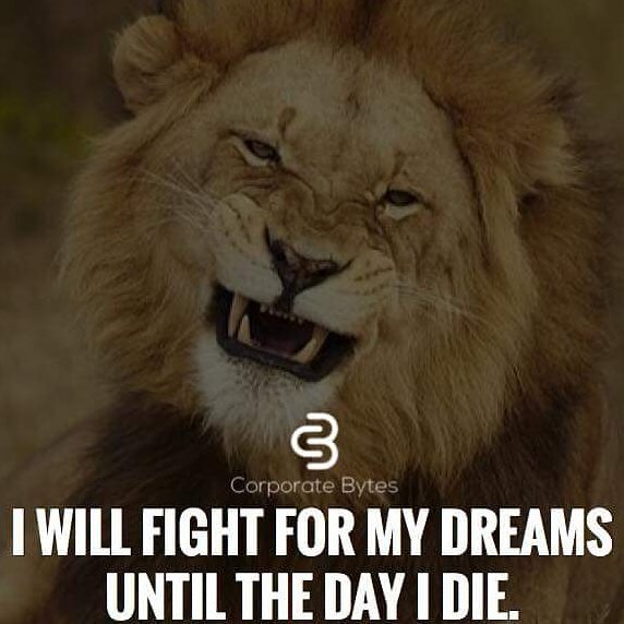 Motivationeasy's tweet photo. #motivation #Success #Luxury #SuccessSelf-Made #Motivationtosuccess #lifestyle #makemoney https://t.co/m2FQmpzOeg
