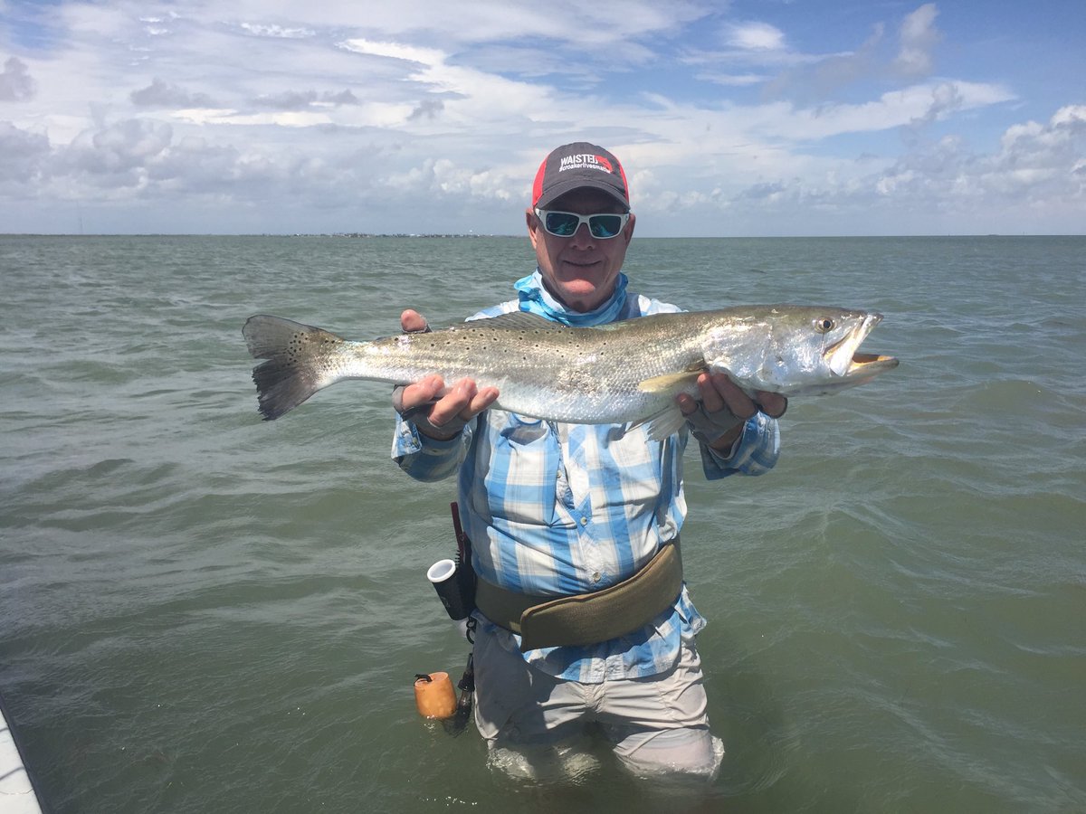 BasslerMiller's tweet photo. Career best 29.5 Trout from beautiful PM/LLM thanks to BB &amp; Maricela at BB's for awesome BD present👍 https://t.co/TMdf6SR7QN