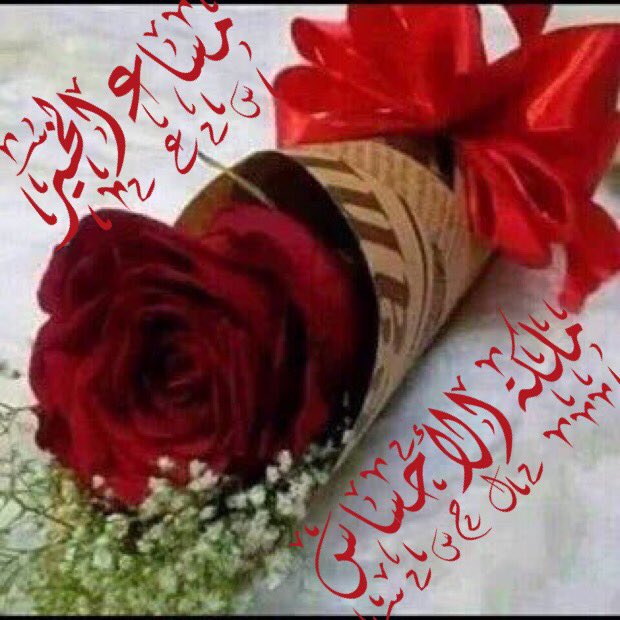 صقر السعودية (@shjfssd68955) on Twitter photo 