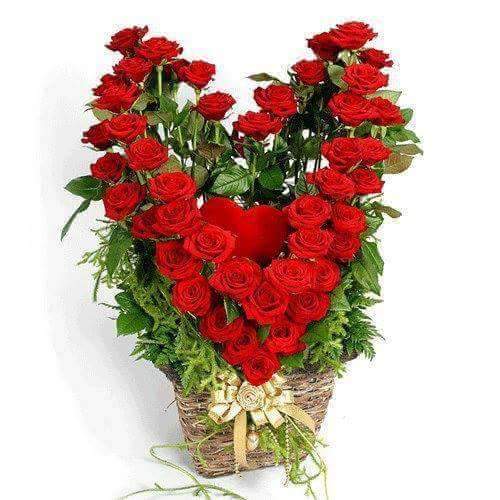   Happy birthday dear Ayesha khan 