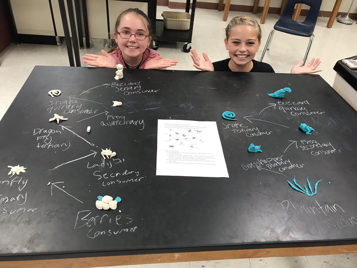 TrishTerry_'s tweet photo. What's the difference between food webs and food chains? #playdoughFun https://t.co/yyo6oYJm1x