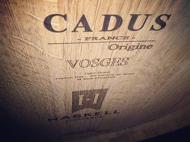 CadusFrance's tweet photo. Cadus  in South  Africa. https://t.co/UZPNXRKI8h