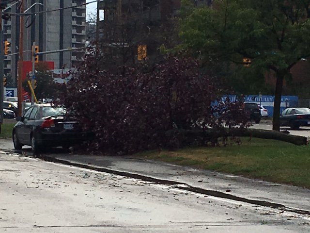 Listeners sending in pictures of downed tree limbs on cars in Lincoln Heights area #ottnews https://t.co/1blNlZKEPZ