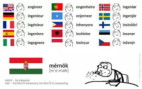 lingholic.com tweet media