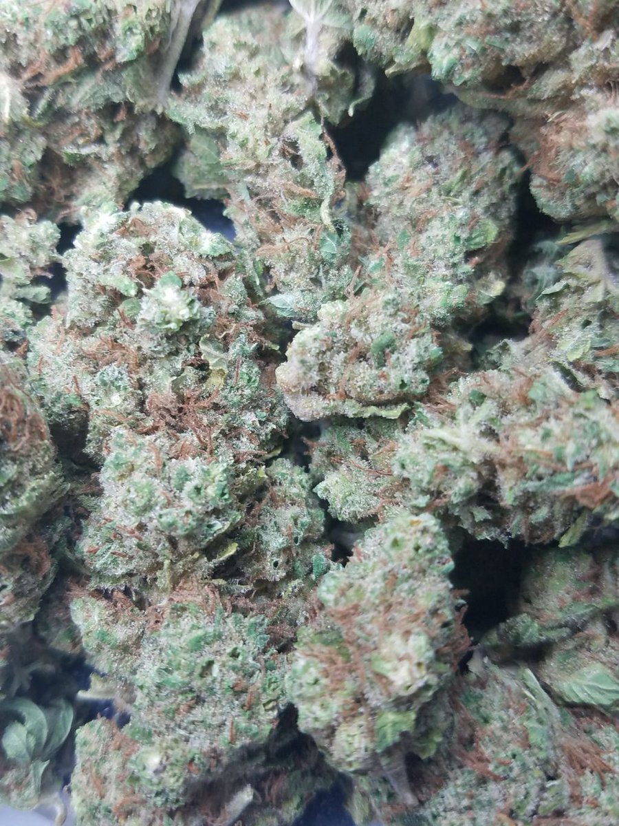 phicnmeds's tweet photo. #8BallKush this #strain is used for patients with #stress #pain #depression #musclespasms and #headaches . #marijuana #cannabis #weed #meds https://t.co/6TQtTLCakX