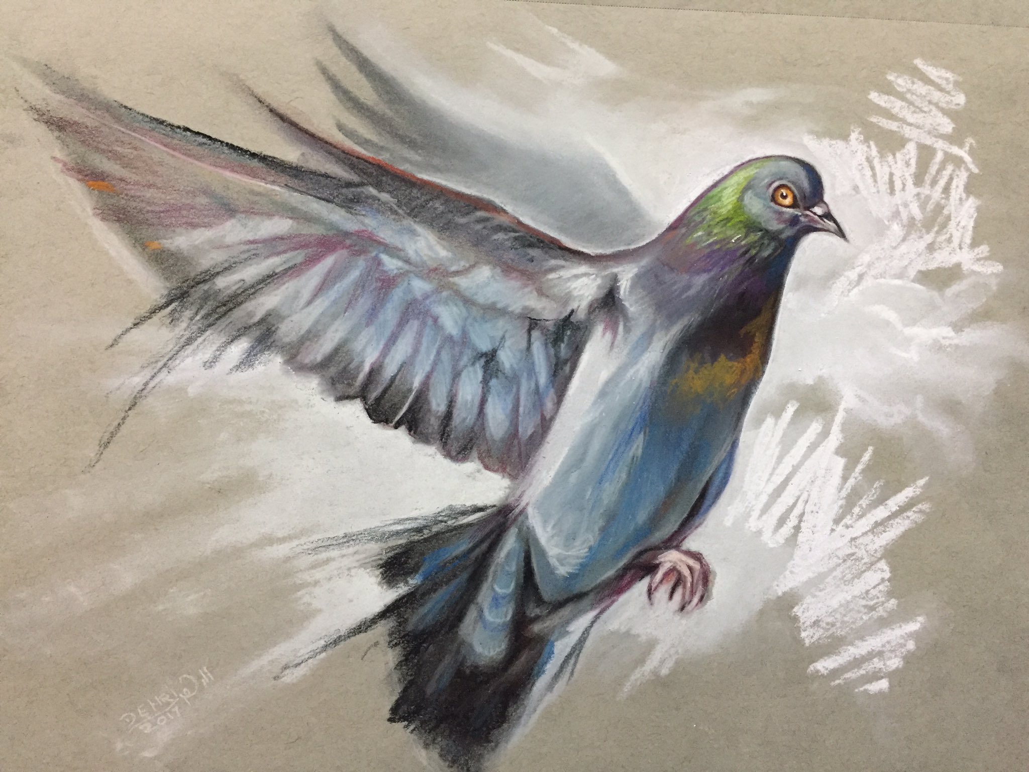 Featured image of post View 12 Realistic Realism Dove Drawing