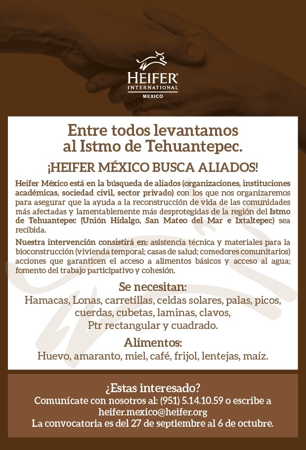 HeiferMexico's tweet photo. ¡Heifer México busca aliados!
Por favor comparte, juntos somo más fuertes.

La convocatoria es del 27 de septiembre al 6 de octubre. https://t.co/6mW8Ur89wt