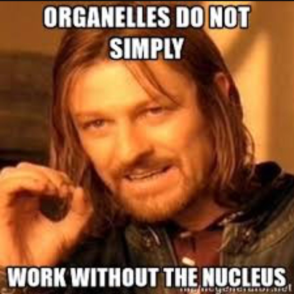 Fellfornucleus's tweet photo. True 🤷🏼‍♀️ https://t.co/LZFztwXJQN