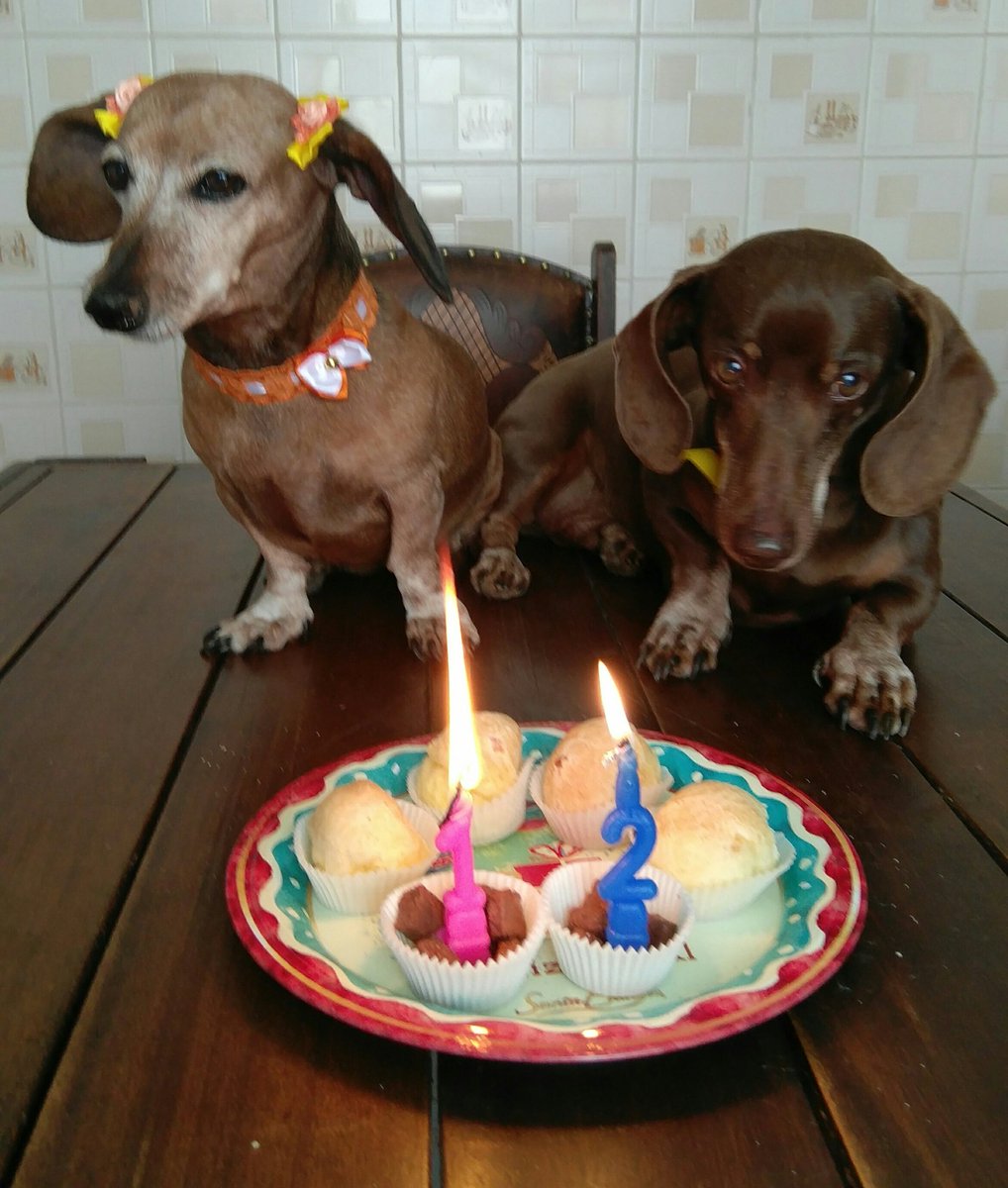 Parabéns!!! 12 aninhos!!!