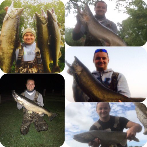 chad_polfus's tweet photo. #KingSalmon #Pautzke #AbuGarcia #RiverFishin #FallSeason https://t.co/cAaSaFIxSm