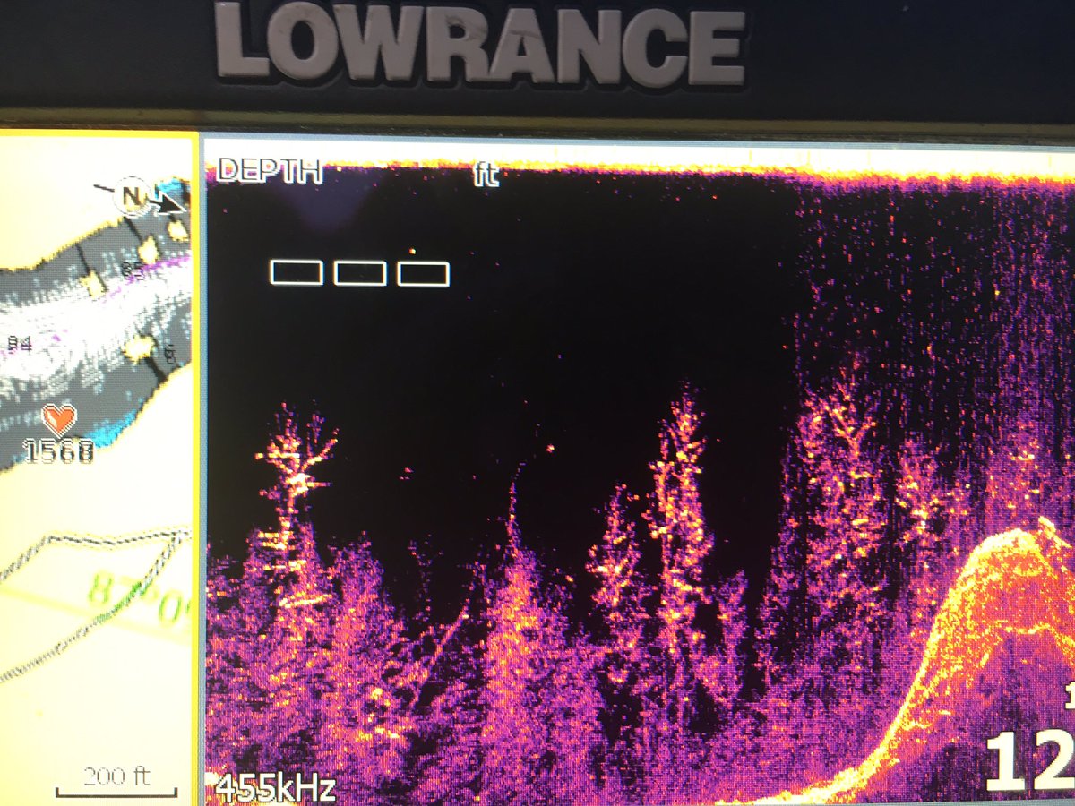 Sweetwatertv's tweet photo. Awesome shot of a flooded forest on Smith Lake in Alabama! #structurescan #standingtimber #floodedforest #fishing
@LowranceFishing https://t.co/lgOJB4BIFI