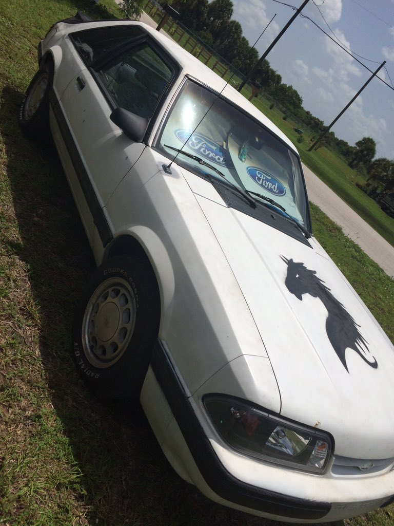 superplantnerd's tweet photo. @cargirlculture VROOM https://t.co/QluGLpWfKJ