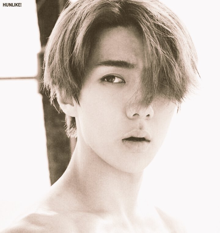 nachtegaelnight's tweet image. See, even OSH is sad that summer is basically over.  #snowisevil #summerlover