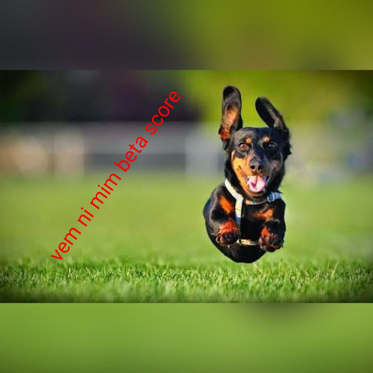 Pode vir quente que eu estou fervendo.
#BetaQuerLab 
#BetaSegueBeta 
#BetaAjudaBeta 
#betaquerserlab