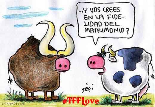 <a href="/jokinmer/">Jokinmer</a> <a href="/V2_N_St0/">Vanessa ™#MGWV</a> <a href="/Mayorga555/">Mayorg'a</a> #TFFLove
......((((
¸,o¤°``°¤o,¸
.(....◕¸¸◕....)
oOO—`*´—OOo
#DinamicaDeHumor 

⚜#DinámicaVip⚜
／＼
👑～•<a href="/V2_N_St0/">Vanessa ™#MGWV</a>
＼／
🤡🤡
／＼
👑～•<a href="/Mayorga555/">Mayorg'a</a>
＼／
😂😂