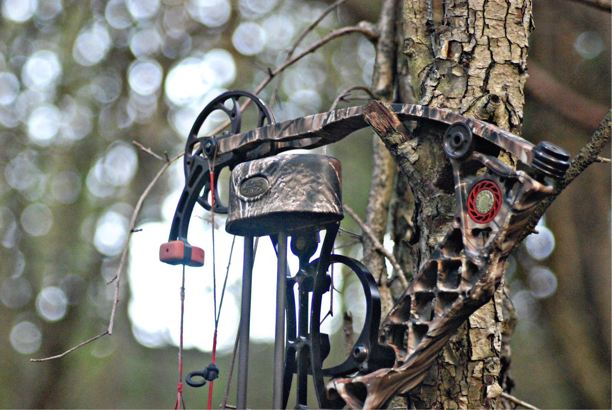 Artemis_guides's tweet image. Happy to announce we will be partnering with the one bow company we put all of our trust into! 💯 @Mathews_Archery