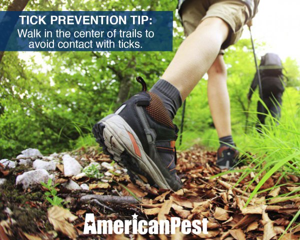 AmericanPest's tweet photo. #Fall is a wonderful time for hiking. But don't forget the #Bug spray and this #PestTip! https://t.co/6CZ102zXTl
