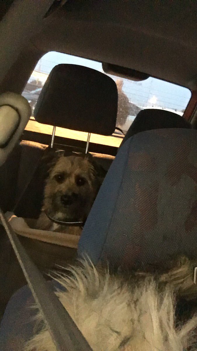 Flossieflanagan's tweet photo. Top creep https://t.co/Pr8bPbcy8c