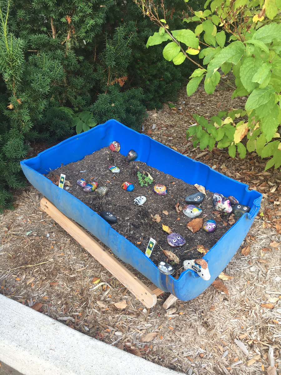 msjoncas_yrdsb's tweet photo. The @SuttonStingers 2/3s are remembering to leave their "Rock Brain" thinking at the door! Be a Super Flex! https://t.co/f2EYWwNTyz