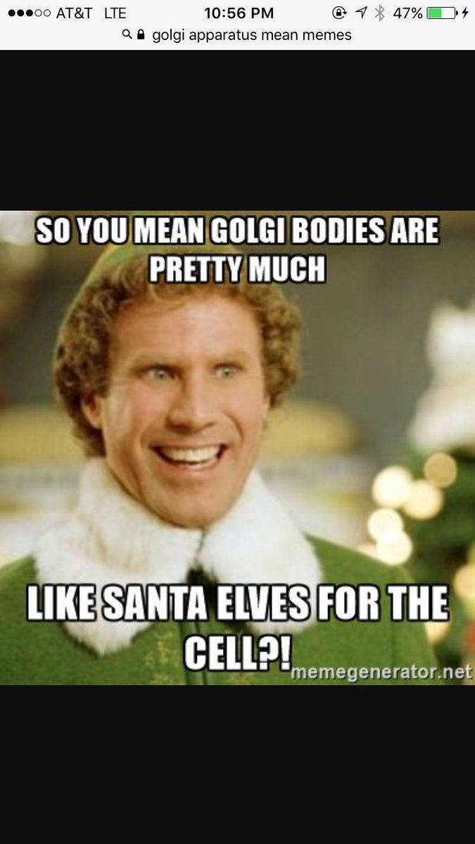 goldengoalsgi's tweet photo. Yes!! Christmas everyday! @Liv2luvLorenz #organellewars https://t.co/fonBGiijsZ
