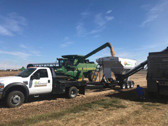 Harvested another PKP plot today. P40T84X wins again, Lumisena seed treatment showed 3.5 bu advantage. @Pioneer_IL