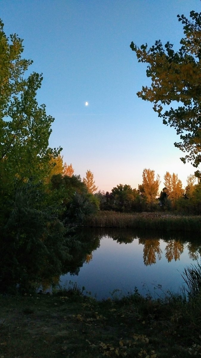 ColeenBoxell's tweet photo. My dog & I had this view tonight #medhat #fallreflection #pondwalk https://t.co/8zRmGEQmKZ