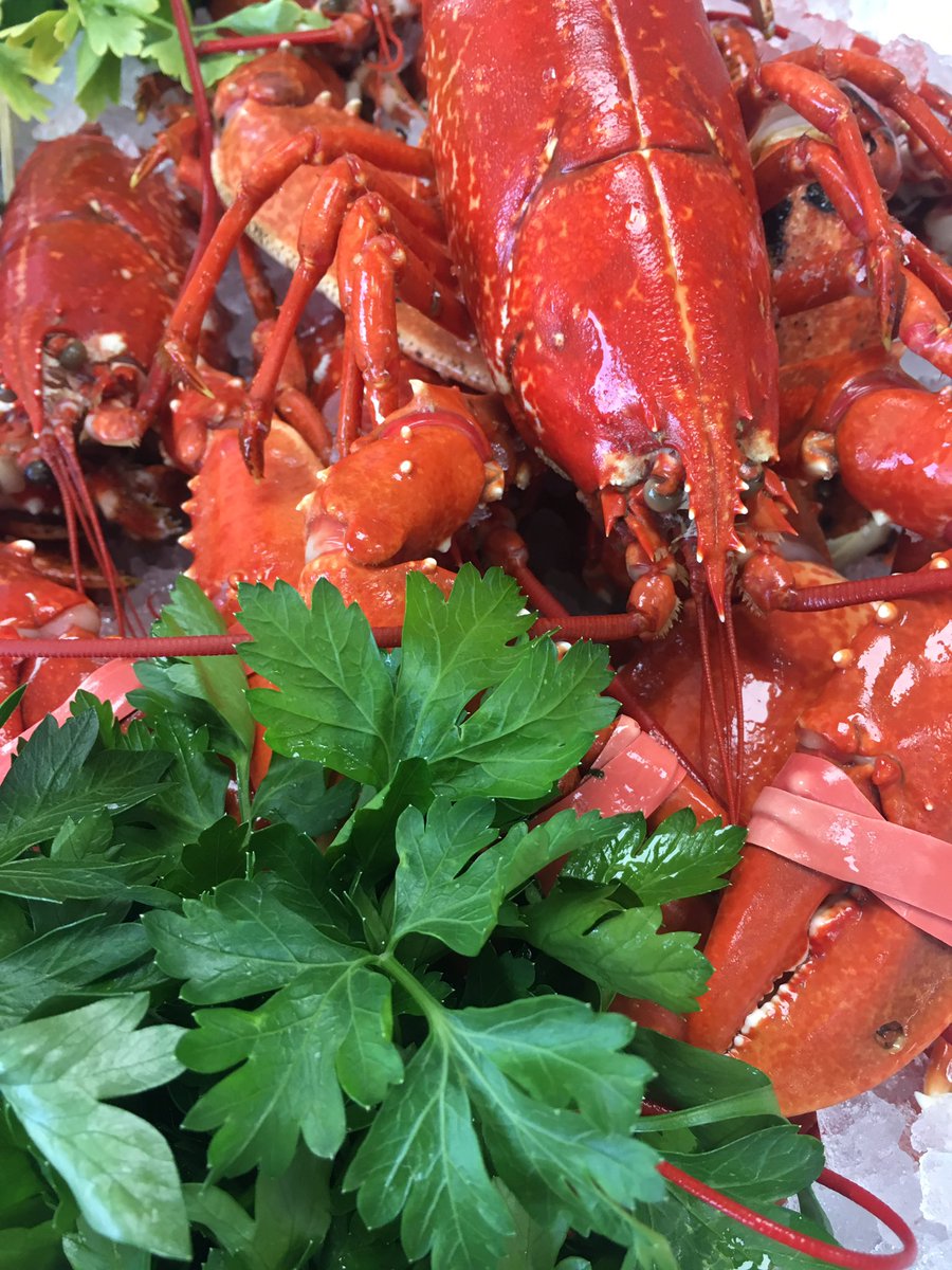 Passion4fish's tweet photo. Outstanding fish again today @cornish_lobster you are a star 😇 #NewlynCaught #Andrewscatch more of the same very soon please 😘 xx https://t.co/8RiJ4UAYla