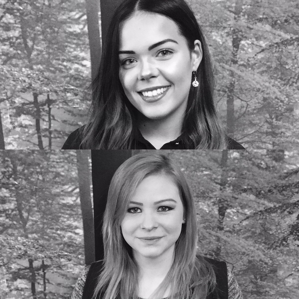 Elements Henley tweet media