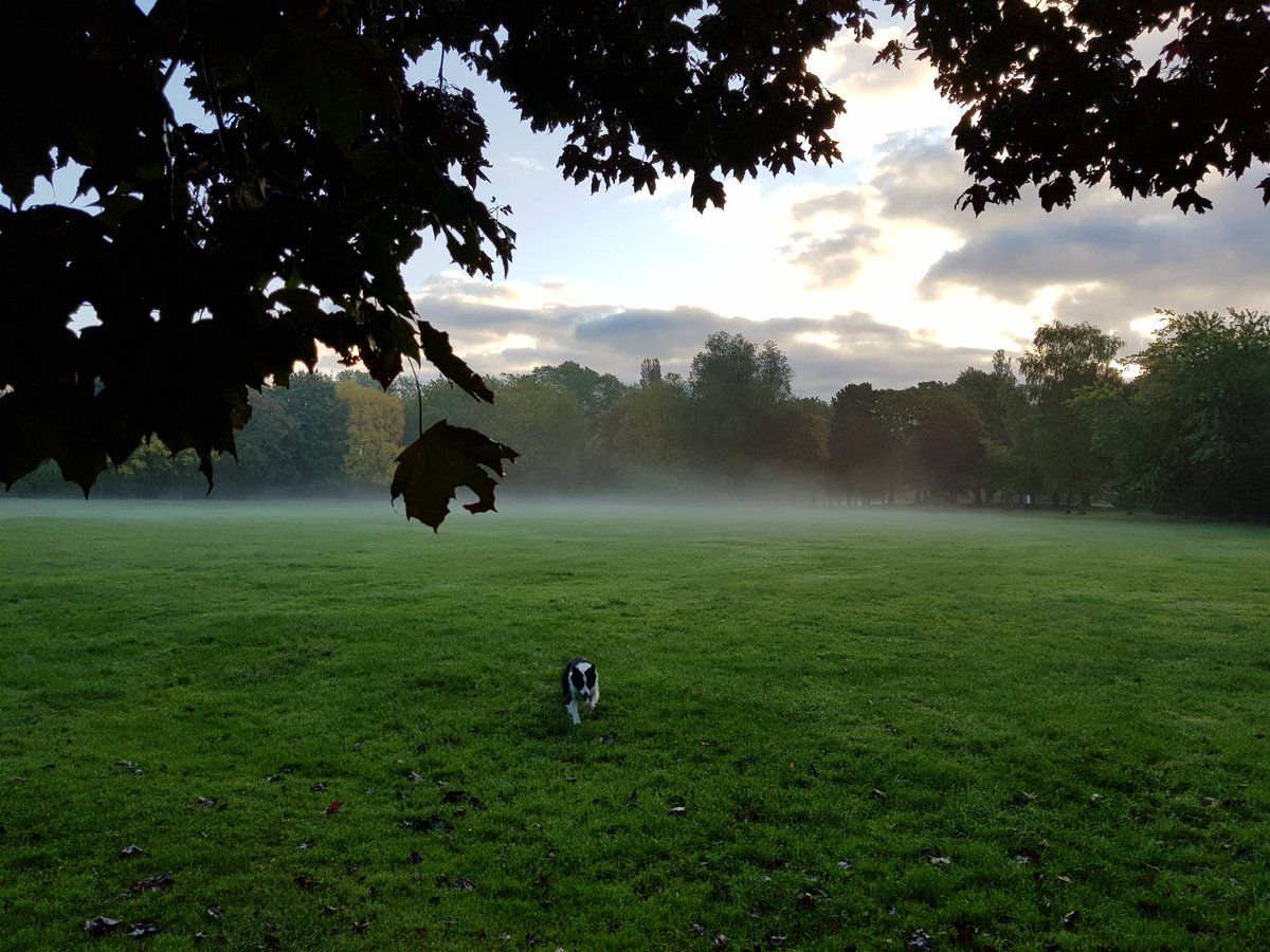 Autumn is definitely here! Lovely morning <a href="/StamfordPark/">FriendsofStamfordPk</a>