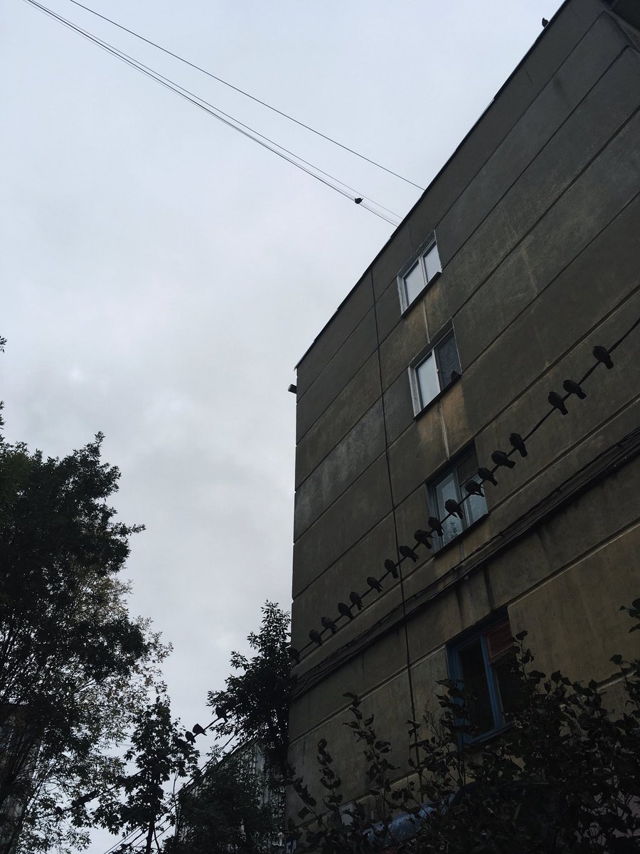 lizzza_S's tweet photo. Доброе утро, Страна! https://t.co/y3TUiaO5yd