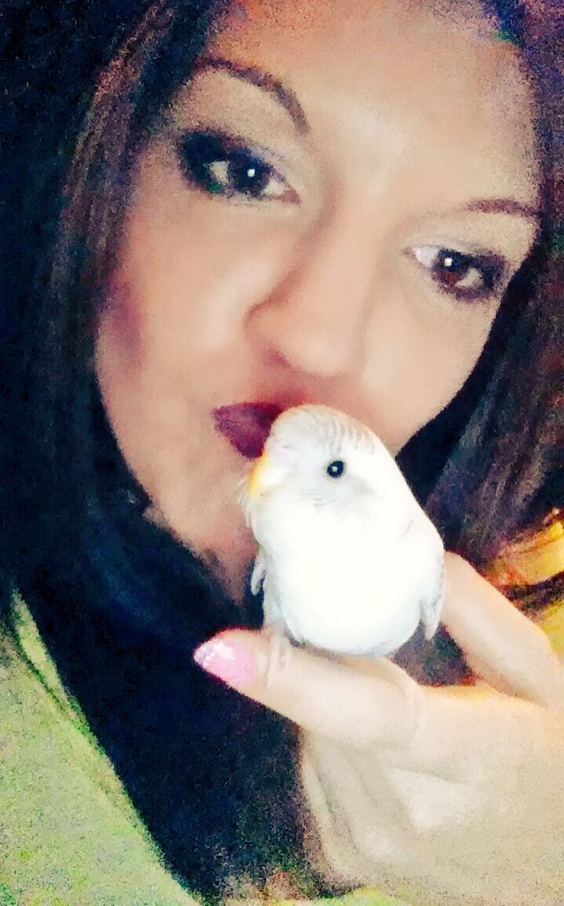HaleyNause's tweet photo. Who's a pretty bird?? https://t.co/6bfpzUTmzt