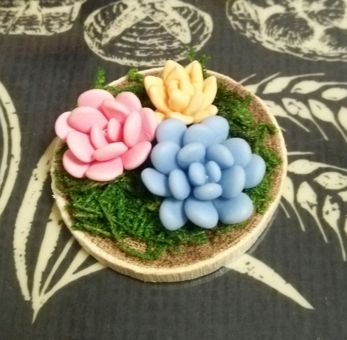 choko51999192's tweet photo. 樹脂粘土でカラフルな多肉植物を作りました😄
#樹脂粘土 #多肉植物 #ミニチュア #フェイク植物 #フェイク多肉植物 https://t.co/Yr5VCnJy59