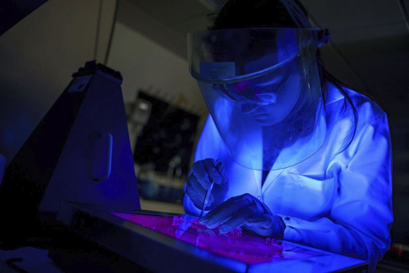 queromatics's tweet photo. Rose-Hulman students engineering bacteria to signal critical vitamin deficiencies - Terre Haute Tribune Star https://t.co/rbDJ0mfxoL https://t.co/7sZCN5PzmL