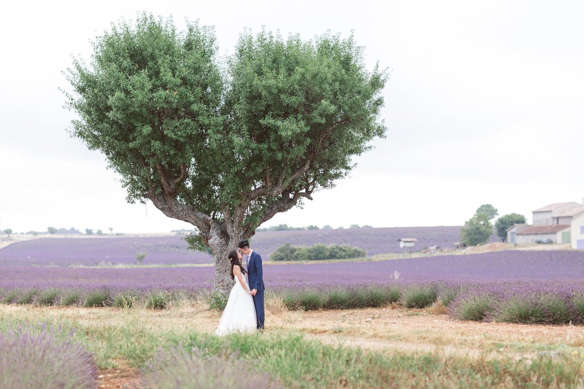 Shall I bring my gown to the lavender field? wp.me/p5E4LF-hDp
#italy #lavender #engagement #prewedding #couple #travel #wedding