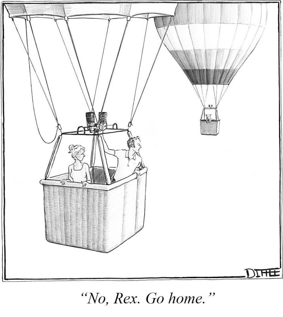 tritbaumber's tweet photo. Rex (by #MatthewDiffee) #comic #dogs #rex https://t.co/atW4yjnCdo https://t.co/folqIqqIyV