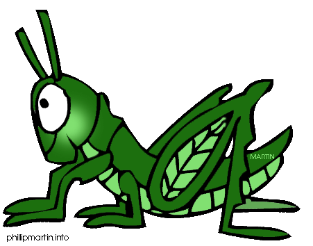 Adam's Pest Solution tweet media