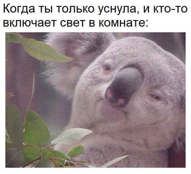 PrimeLandy's tweet photo. https://t.co/UjIKJ7OEEM