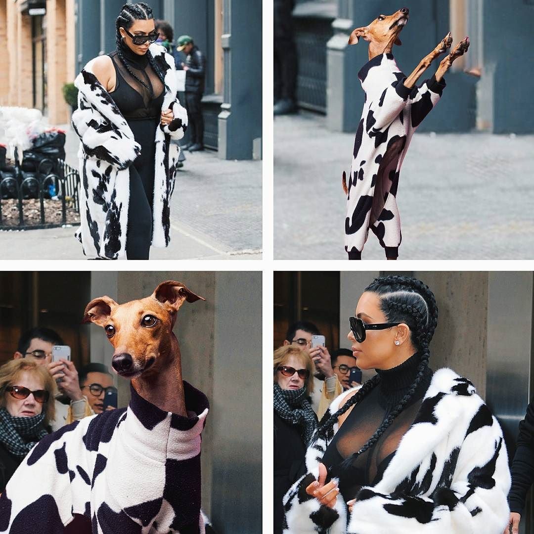 iggyjoey's tweet photo. Who wore it better? 
#kimkardashian or #iggyjoey https://t.co/LY7kX10INf