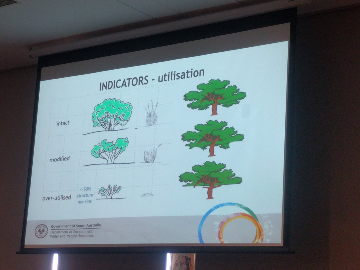 A new method of assessing pastoral condition in the rangelands incorporating woody perennials - Rob Brandle #ARSconf2017